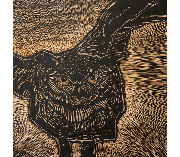 "Owl" by Sara Gettys